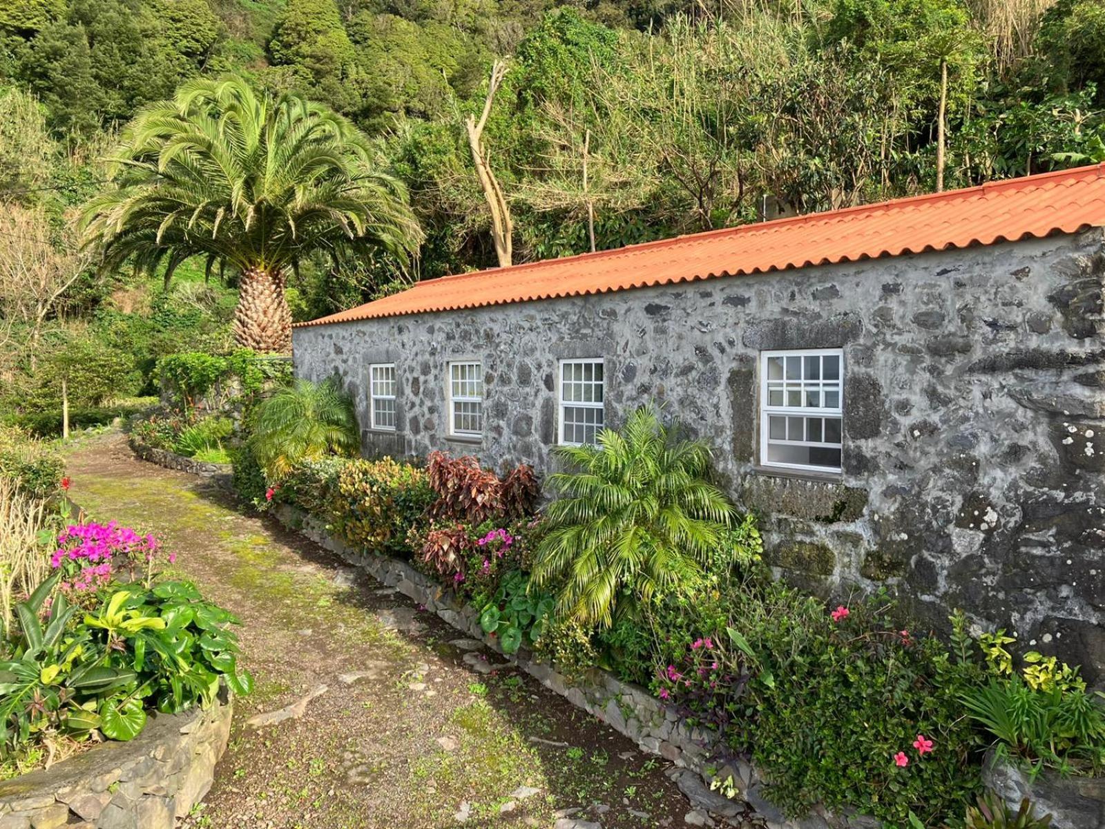 Vistalinda Farmhouse Faja dos Vimes Kültér fotó