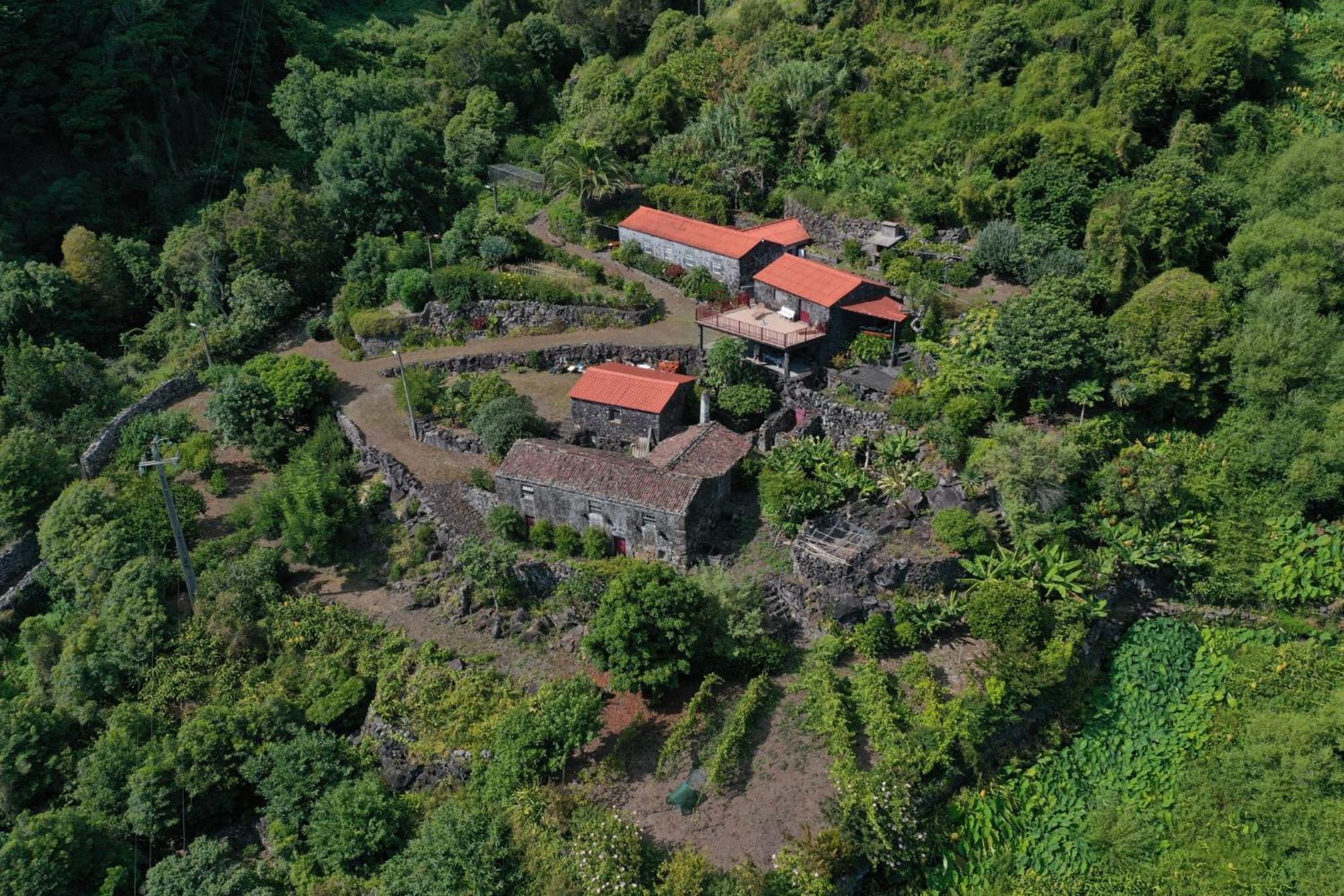 Vistalinda Farmhouse Faja dos Vimes Kültér fotó